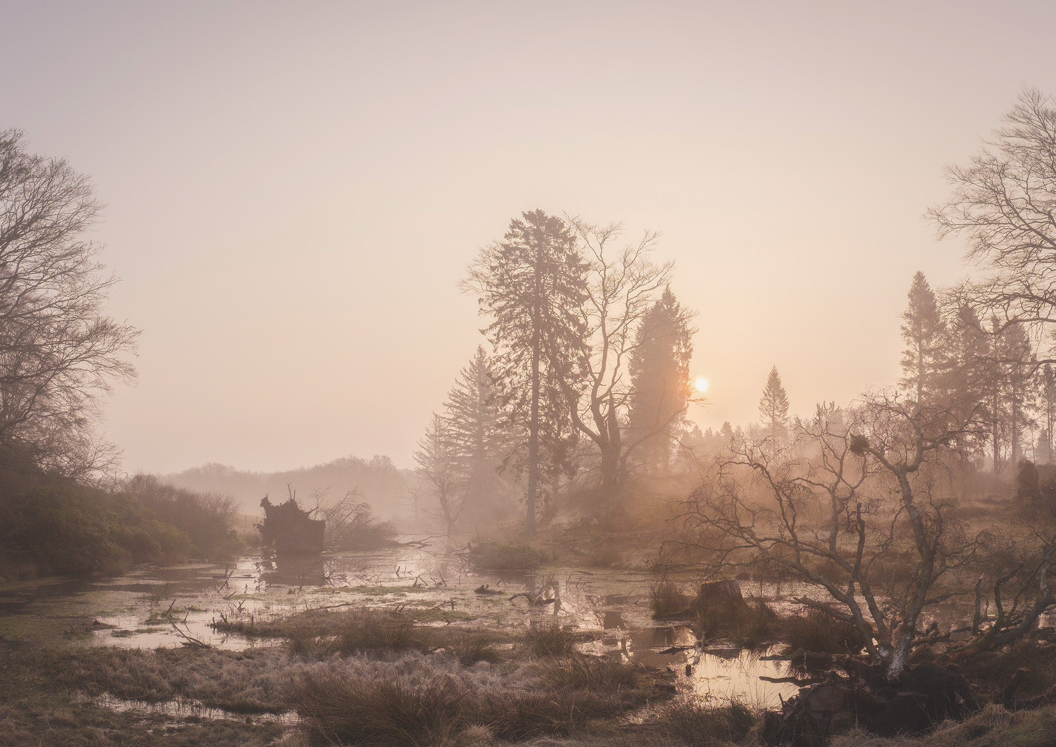 Silent Architects – Bamff Wildland